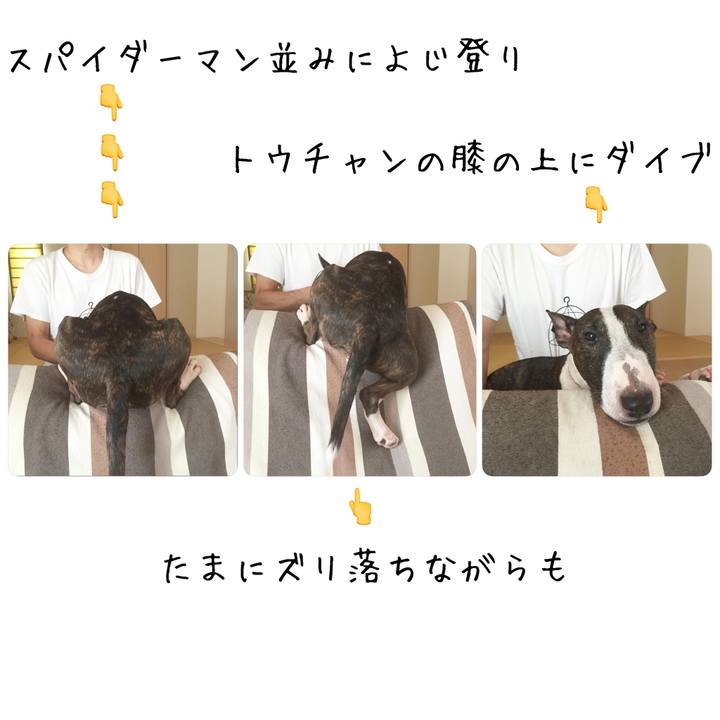 06bc796a 4bce 4bea 9f32 3252aacc81f2