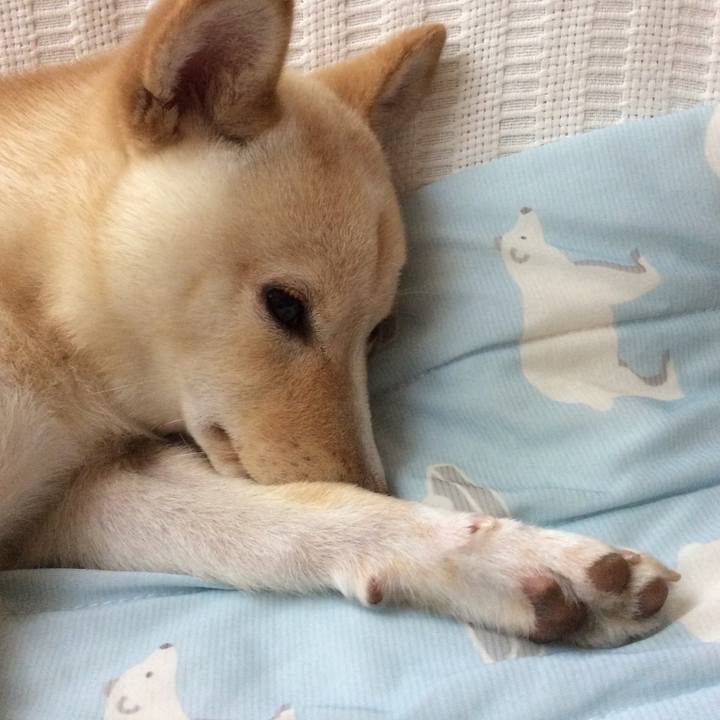 06bc87d9 7ce3 49e0 8d74 d8bc896902aa