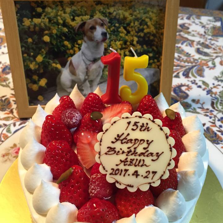 06bca2b7 6d49 4f43 b6ad 2d84e995d226