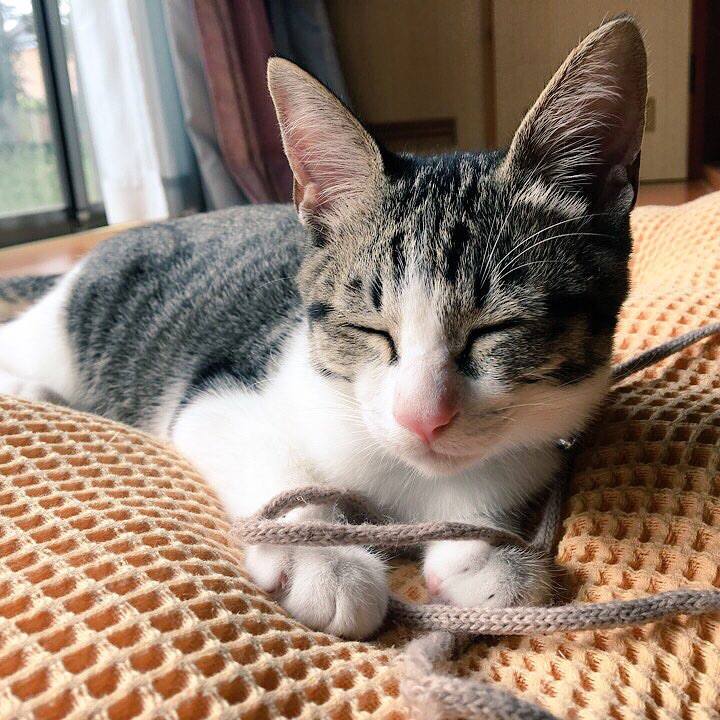 06be1784 2ebc 4788 806f afe576dbdedd