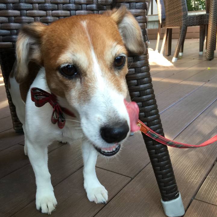 06be7cae 0962 475b 835d 4218e5f17d05