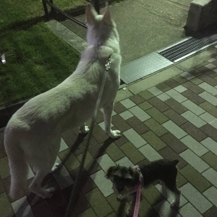 06bedb42 e7c9 424c b28a 522f3a31e391