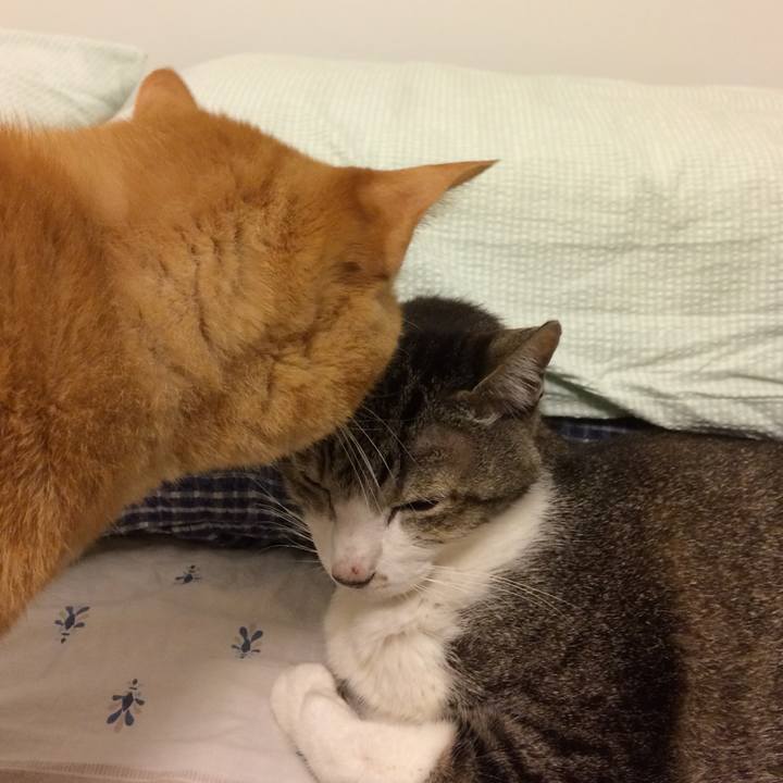 06bf35e6 2d09 4a76 8273 d0fed861cc0d