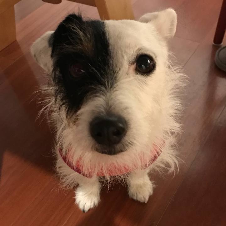 06bf6bd4 be18 4731 892b 77d0ecc5a2af