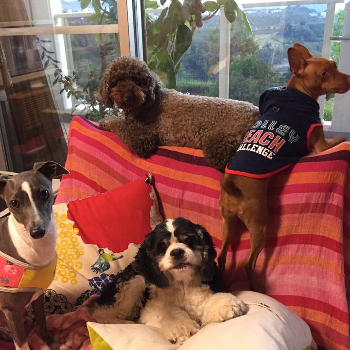 06bfc4e9 cae4 454a bf56 3419b2e6c161