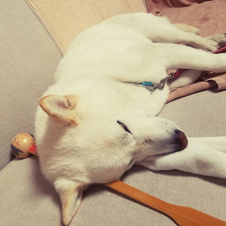 06c0119e 60b3 4977 8cfb 10cdec75d08f