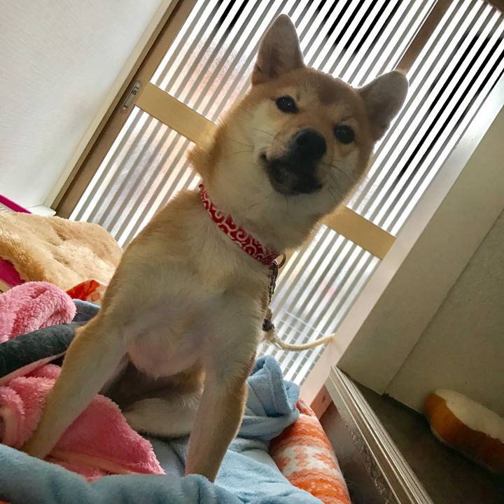 06c068fe db00 4076 afa7 401e433ea090