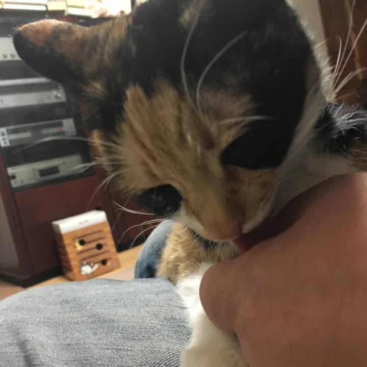 06c0f3ae e433 4114 bb95 cdb68b160dc7