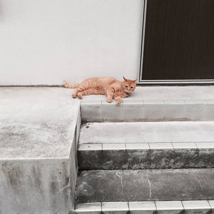 06c23581 62f3 42c8 921e 1007f3b0b71d