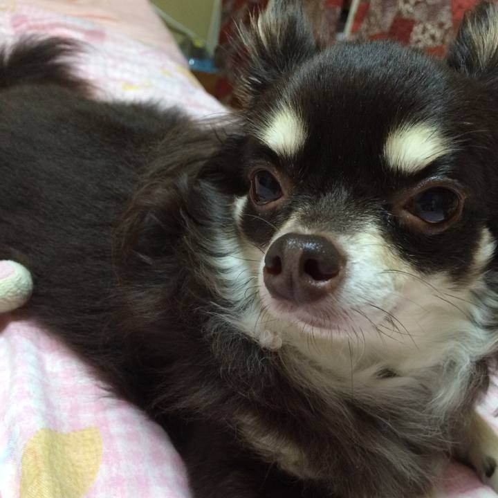 06c3ac29 8b85 4da0 844e 075a8920eb72