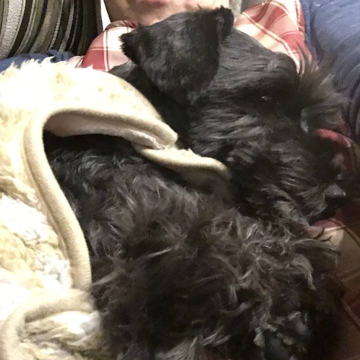 06c3cefa 2085 45bb 8d39 53b9ddce5f8d