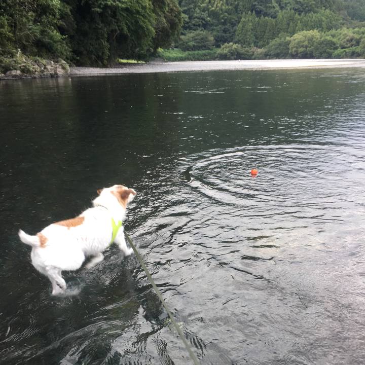 06c3eca6 f77e 41fd 9cd5 1951073eb492