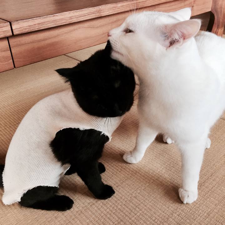 06c4ea65 20d7 4f8c bb1b 1d12e65612b5