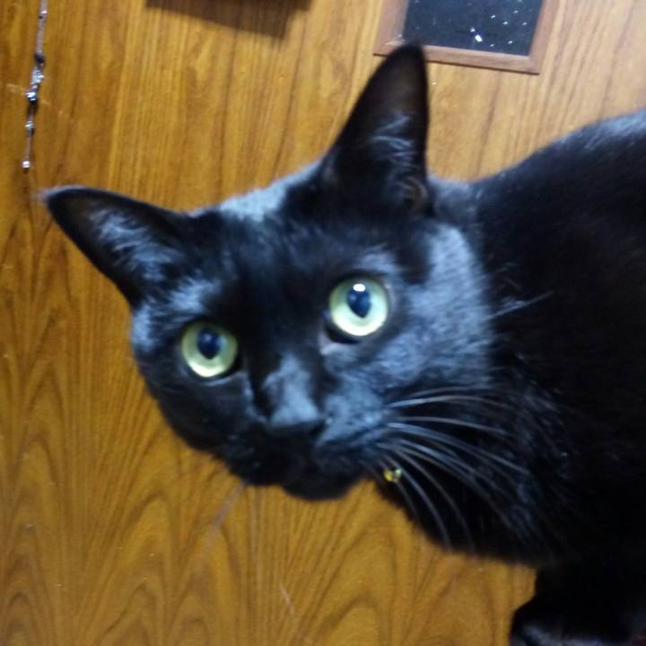 06c5095e 05f4 4b70 8191 ed2f700b69ca