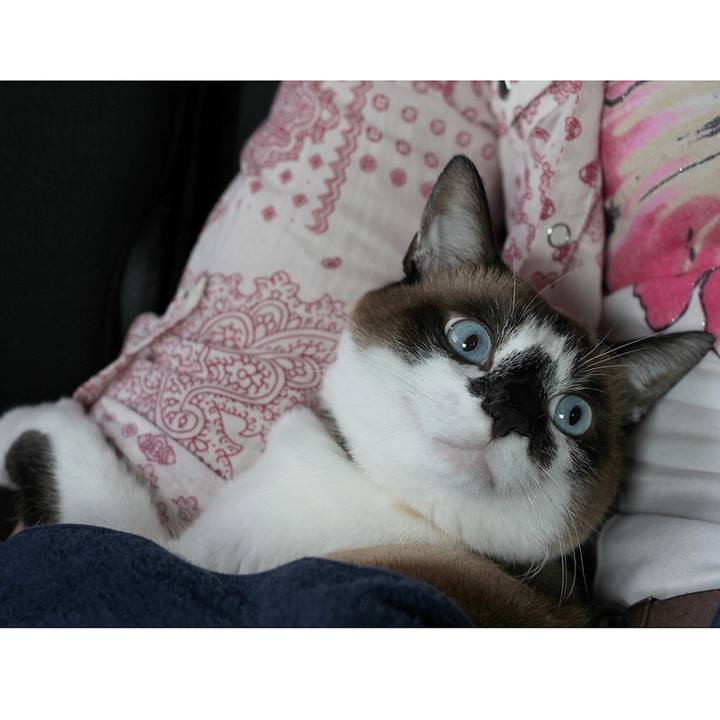 06c518aa 8862 469c ad5e f29eb0a3daff