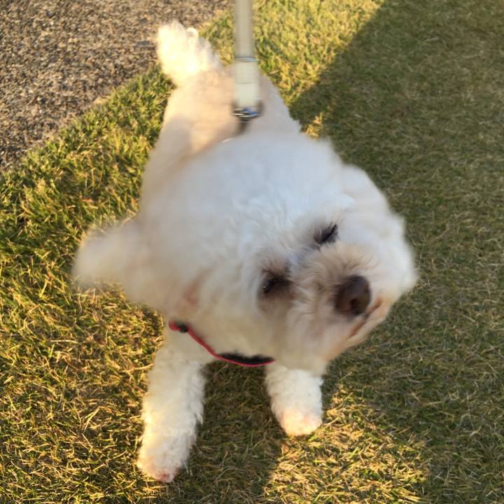 06c57411 7636 4998 bca9 36228e904534