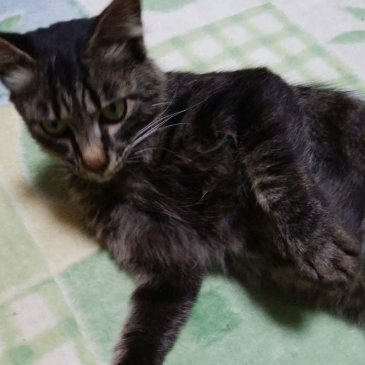 06c58294 7223 49f5 97cb efef2223b735