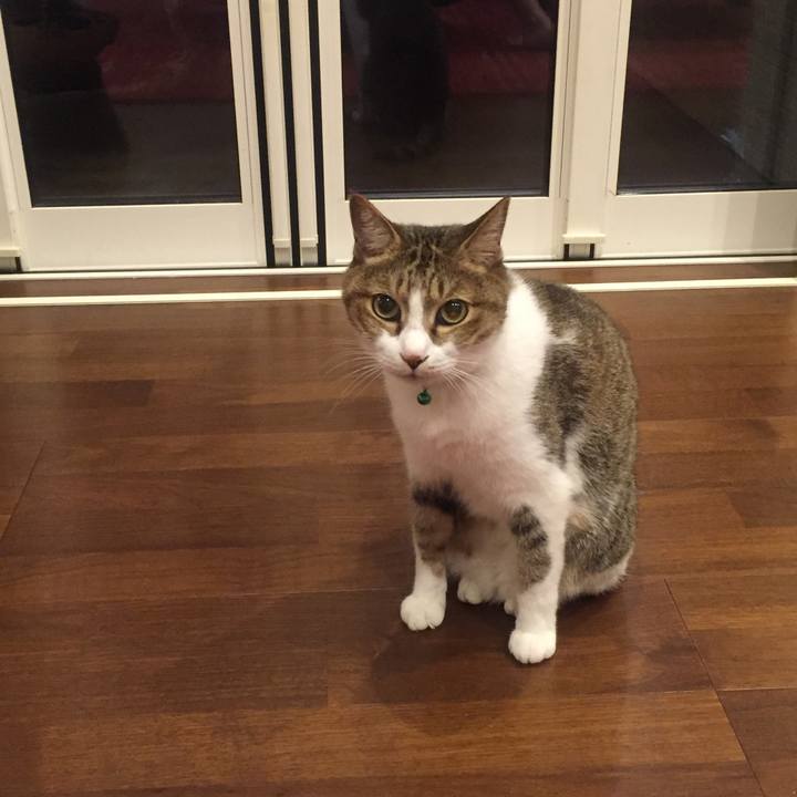 06c61080 c915 4e2c 8b0a f138a110dcaf