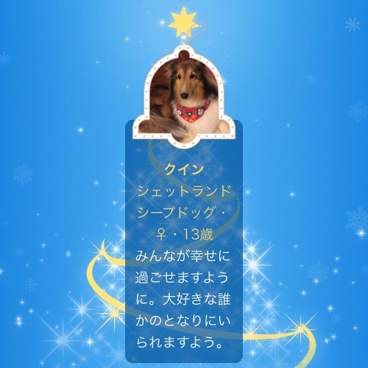 06c62aa7 ad71 4fc1 b432 59b1d23b7dbf