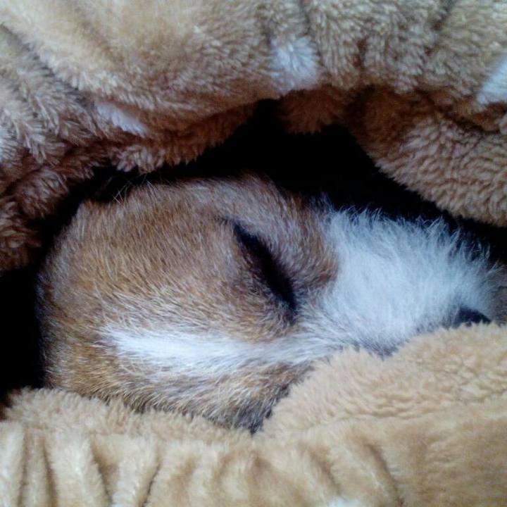 06c65391 be59 415a b31c f0e9079fb57b