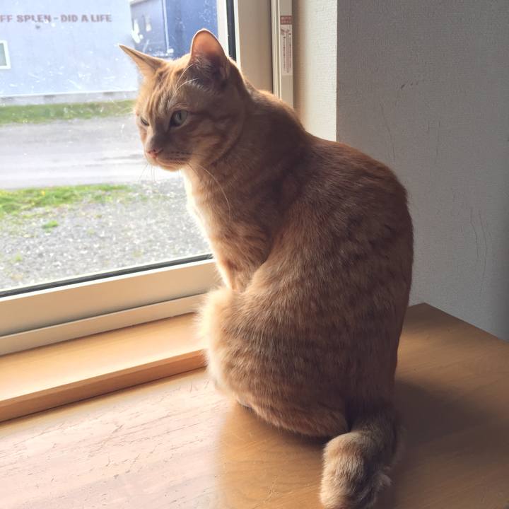 06c72d27 2246 4935 8c4a ab026df6c375