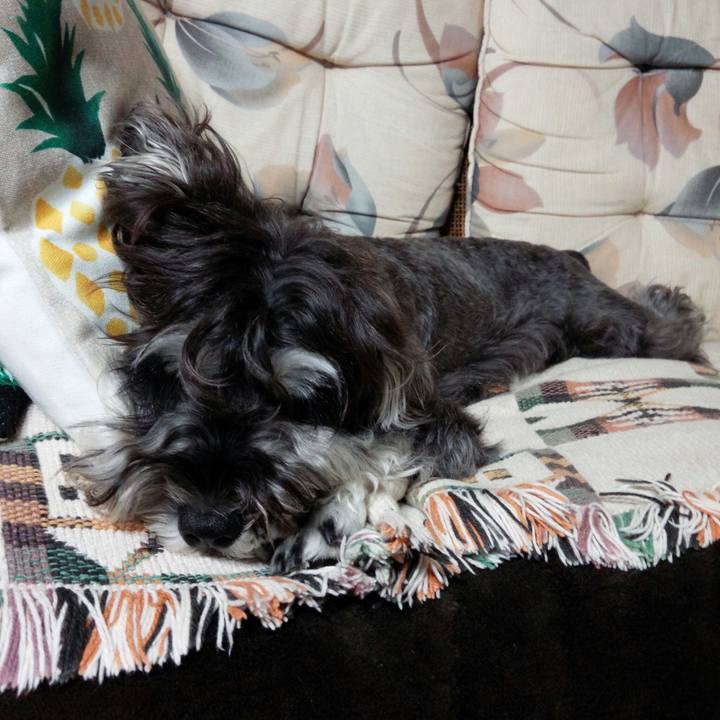 06c7301a 8761 4d1a 88dd 0edf5a74f5df