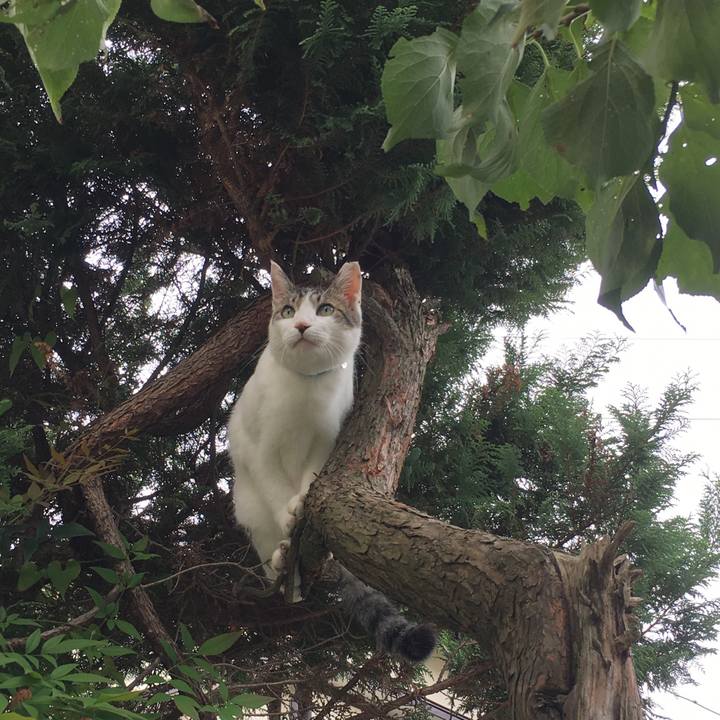 06c753c3 d877 4994 b8d8 726d81184dab