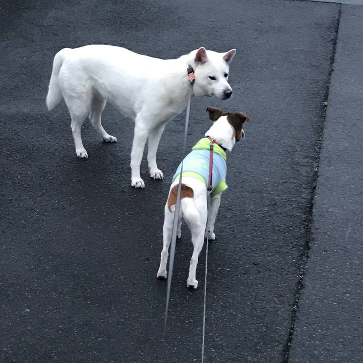 06c75a46 bd69 4df6 a920 6ad8f70cb7c9