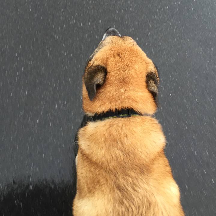 06c95d3d 2b6a 4df6 9d6b c7c3702504a8