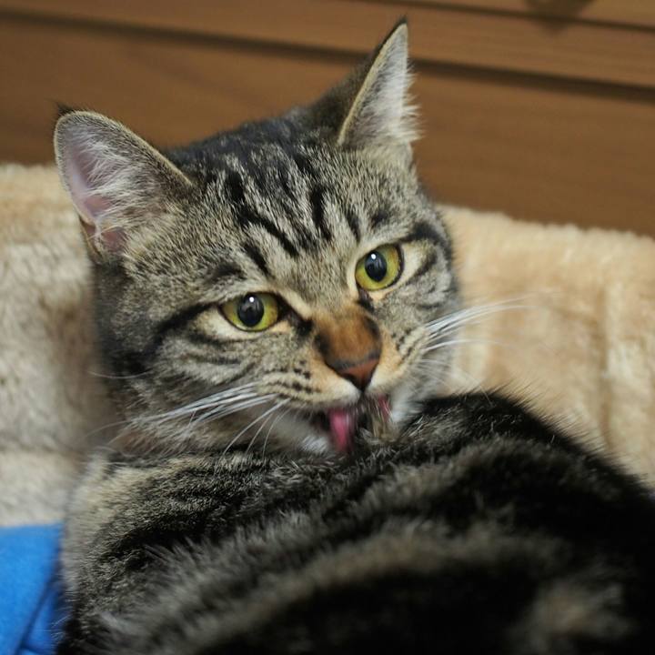 06ca6146 bc2c 4bee 9a5d c3ed5f1746b9