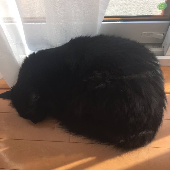 06cb0500 5e2b 45bd a1fa 8900d60e33ca