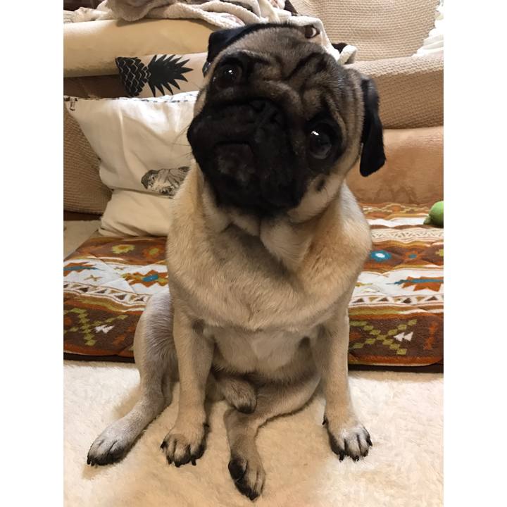 06cb15ec 05a3 4f29 b14a 16deaea890e5