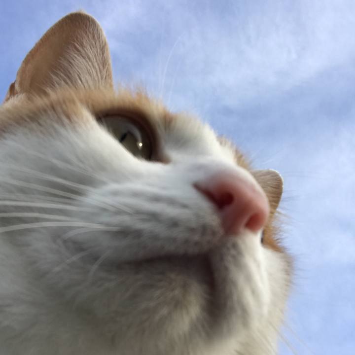 06cb45af e4e7 4a88 b6c8 e5c27c379c04