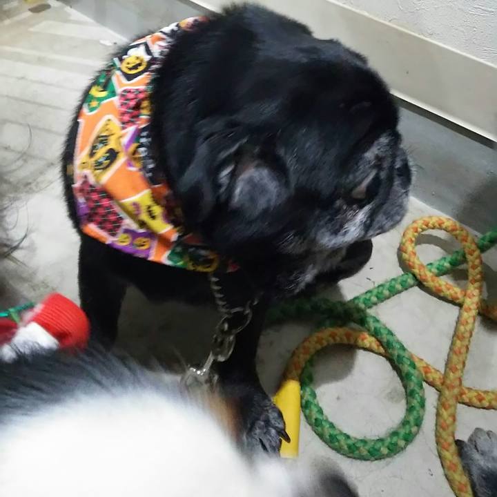 06cbe87e e163 4c8d a0ba f3fbb4522ce4