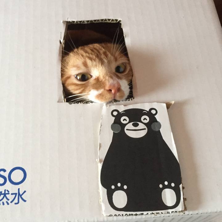 06cc1b47 b086 476c 986a 874aa30278bc