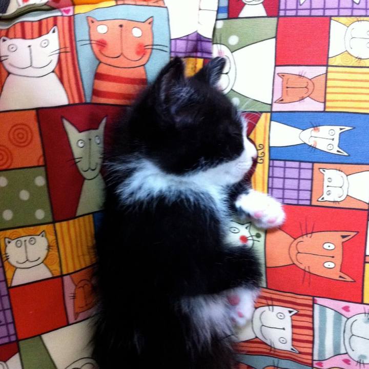 06ccc98d e95e 41c2 92a0 54e6929c9687