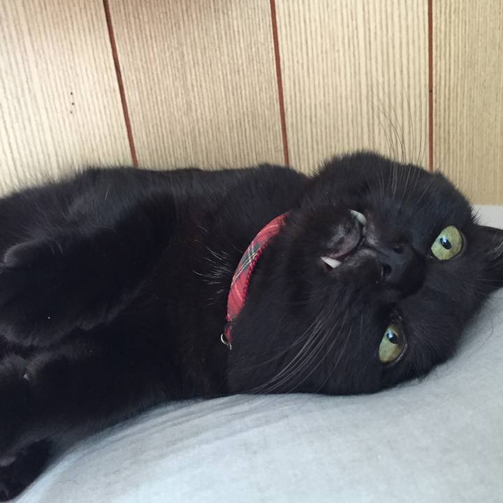 06cd1c80 7165 481d a121 4632cbc62256