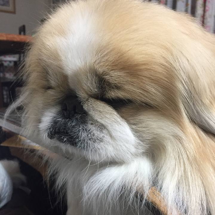 06cd59c9 986d 449a b0fb eb59dee4b715