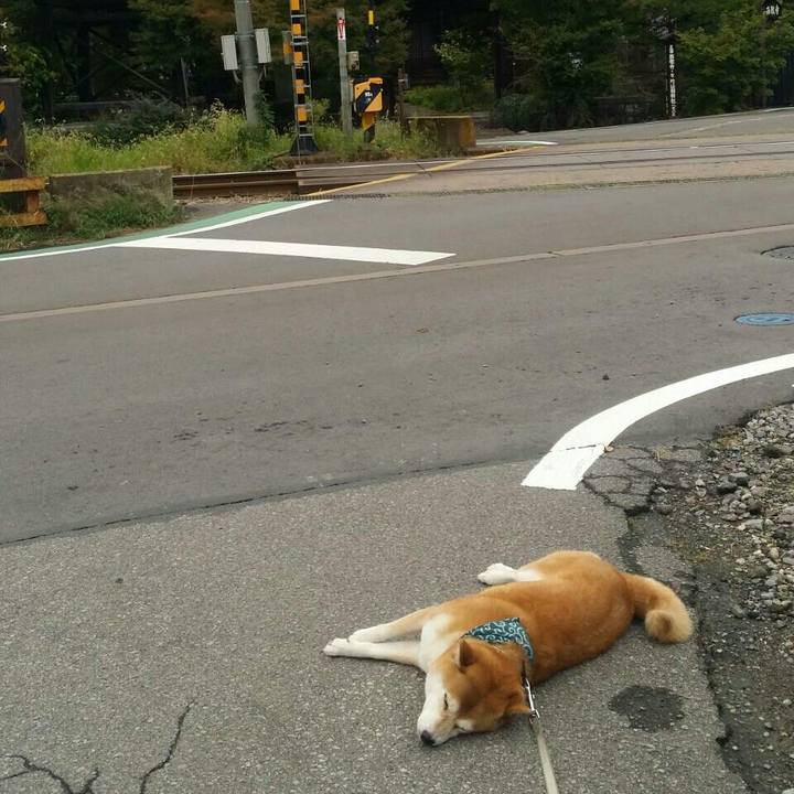 06cda398 8c4b 4bc2 9640 0f70ab835b5f