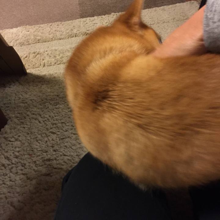 06cdb761 b1fb 460b bc76 ab19a285e682