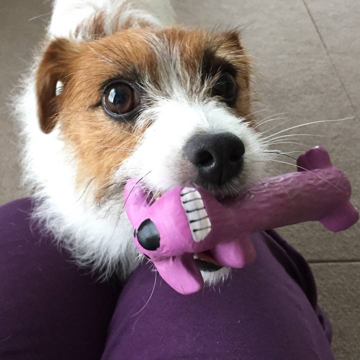 06cf72c6 7c2b 4d1a a300 03eb6762923a