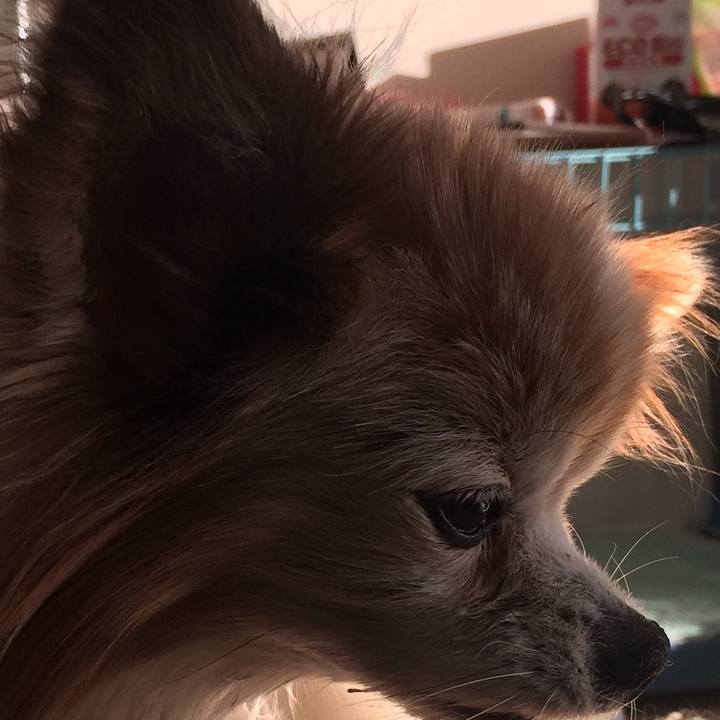 06cfa2bc 2e5a 4d36 ab29 da4371ee948f