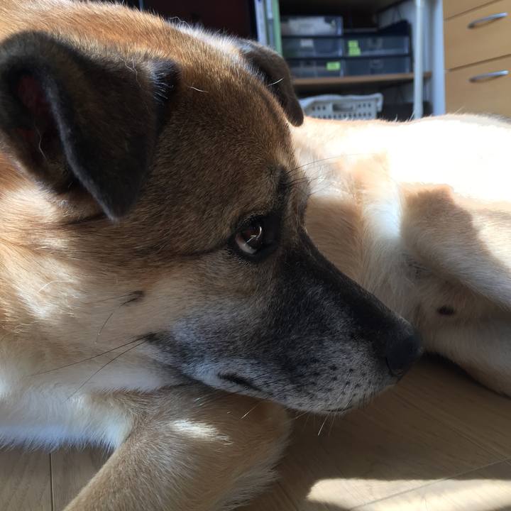 06d03398 b8aa 44d9 bd25 636f19f3b92e