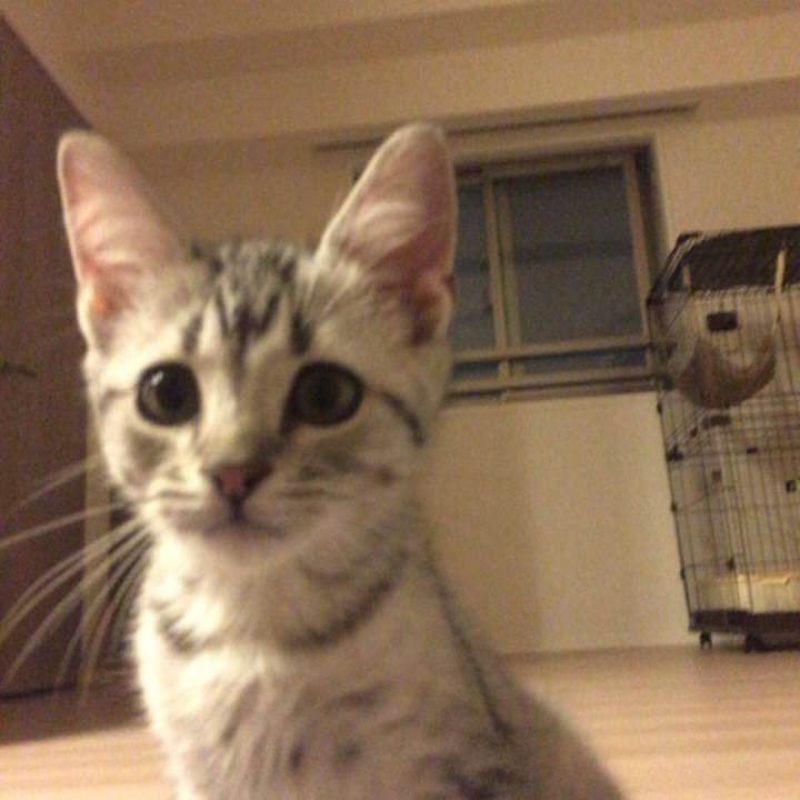 06d04793 d0eb 4521 aa9f 66b31dbda1c8