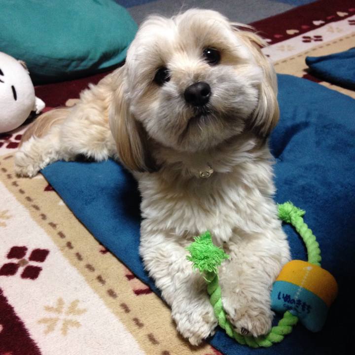 06d13182 ae6a 467e 8c72 c3dc2fe57f5e