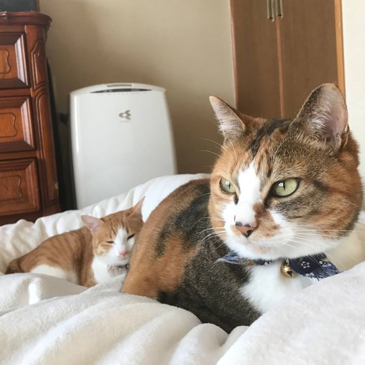 06d133be 909a 40c2 ac09 cfa39ec3b1e6