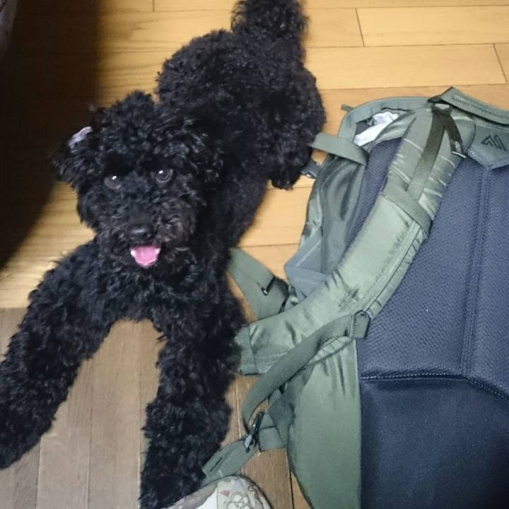 06d16fb7 e4c8 4cbf a03b 8c30cd418d93