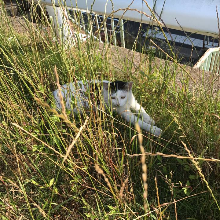 06d22d51 1fb7 4158 9d24 6f66fcfb5be1