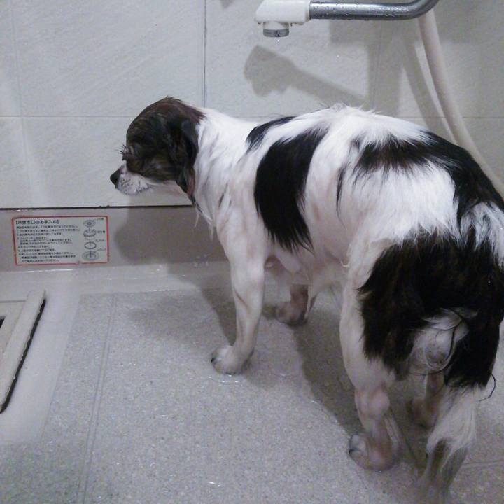 06d22e7a 19cc 45ad ae99 68beb741f09e