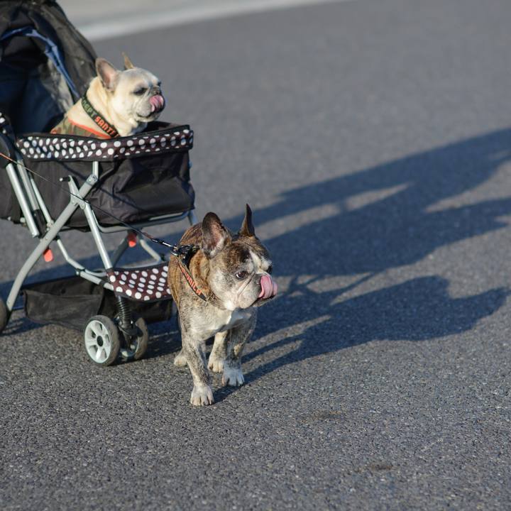 06d2e658 4739 4243 998c b5d380d7bd5d